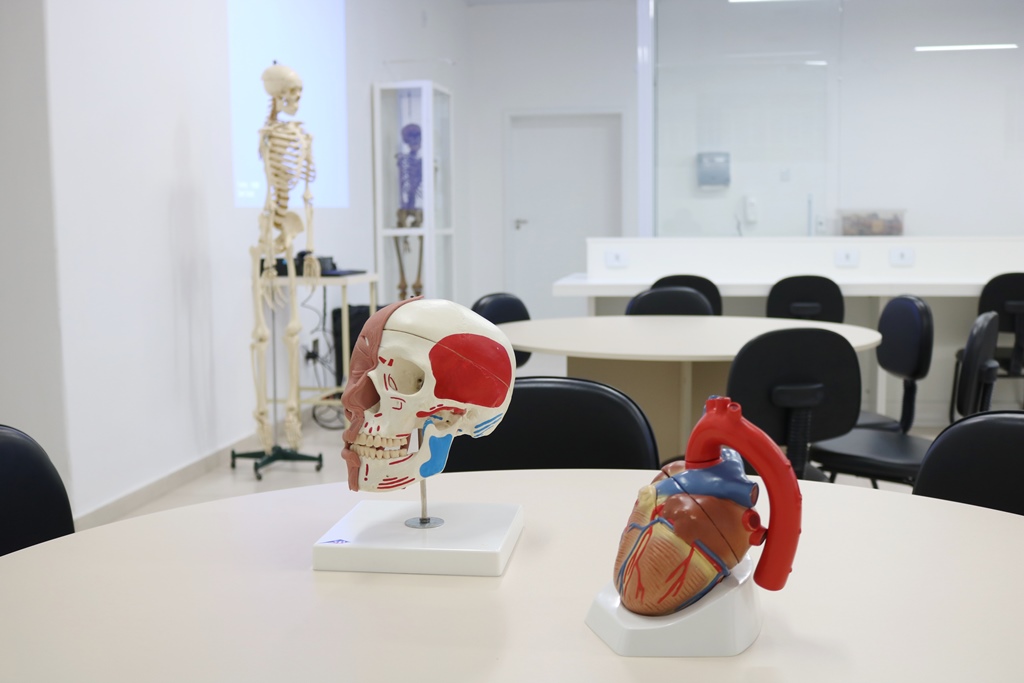 Laboratório de Anatomia